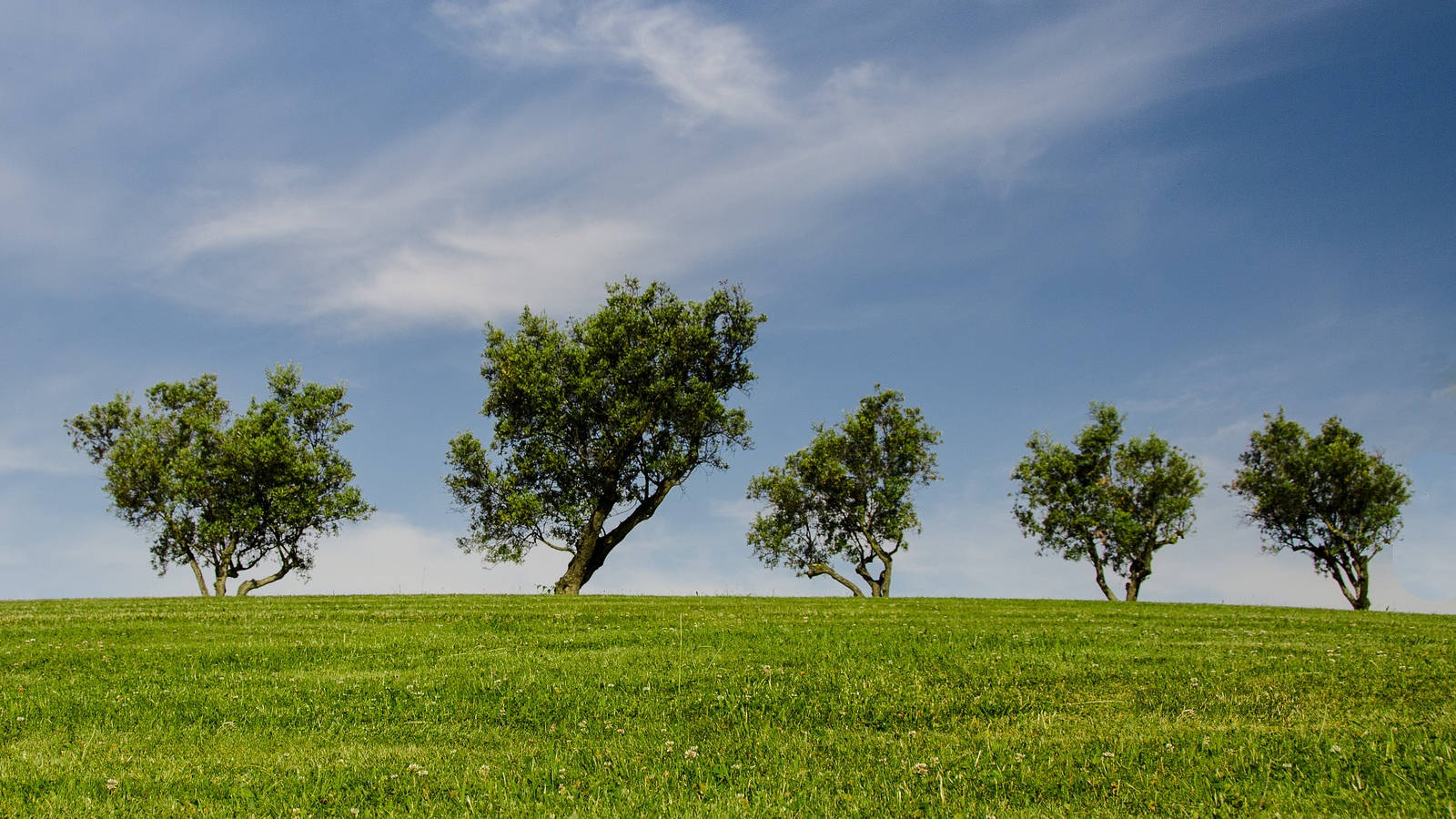 impact environnement